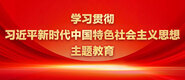 操逼淫水不断视频学习贯彻习近平新时代中国特色社会主义思想主题教育_fororder_ad-371X160(2)